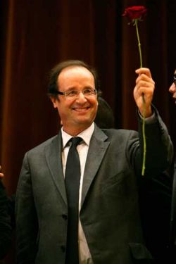 Hollande rose